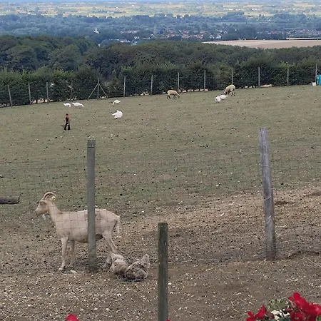 D 'hotes مكان تخييم